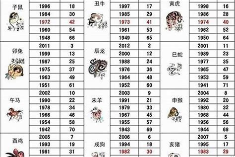 生肖狗年次|屬狗年份｜2024年幾歲？屬狗出生年份+歲數一